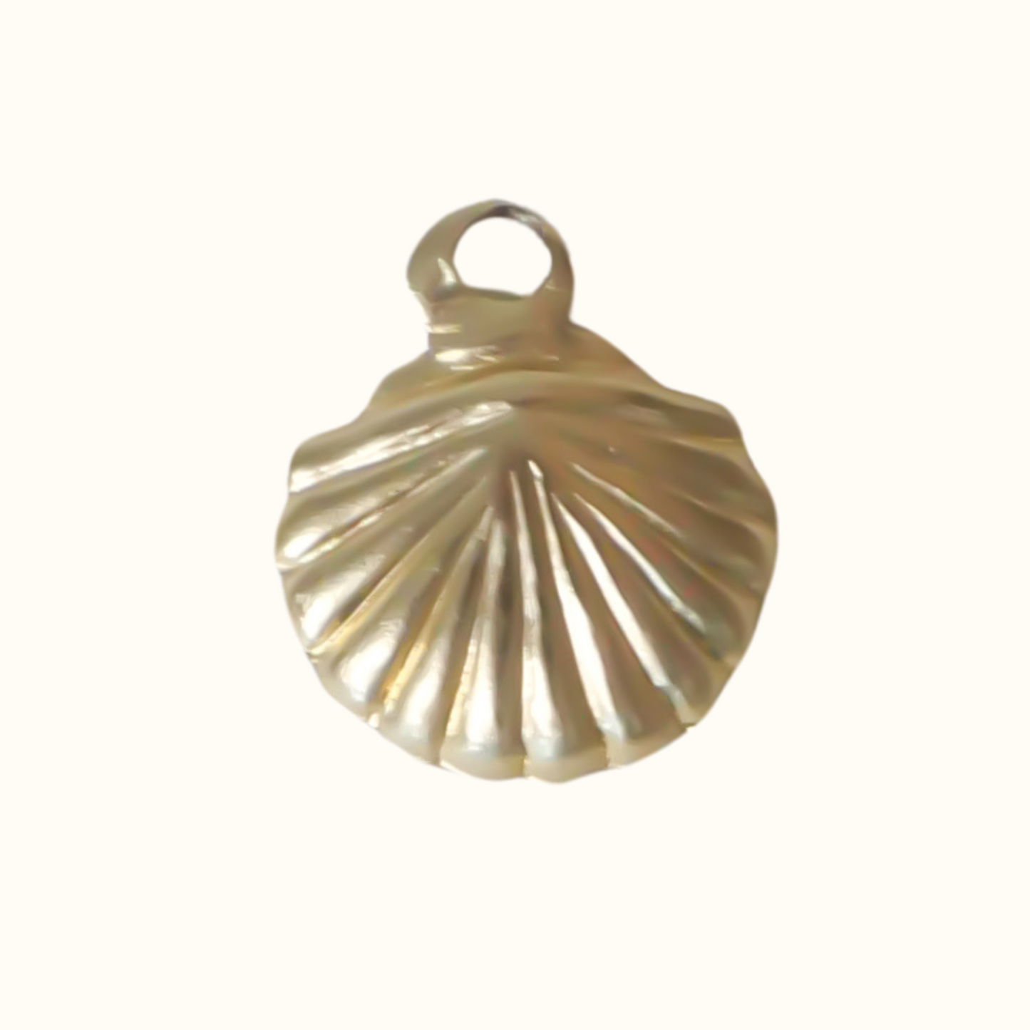 Charm's coquillage