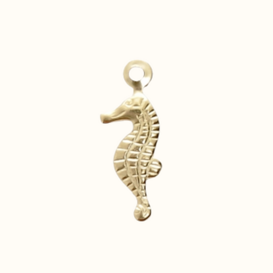 Charm's mini Hippocampe
